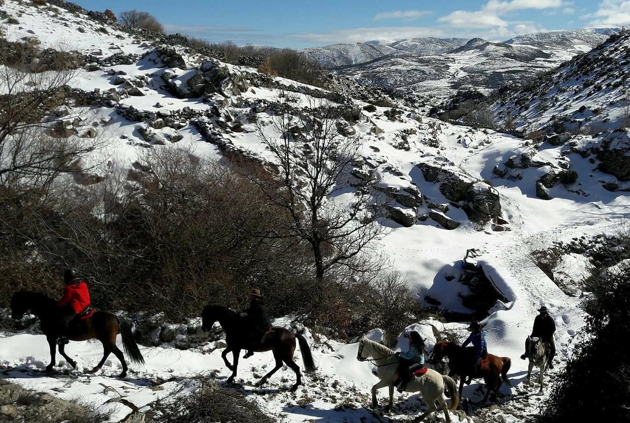 La Pasailla De Gredos Guest House Navacepeda de Tormes Luaran gambar